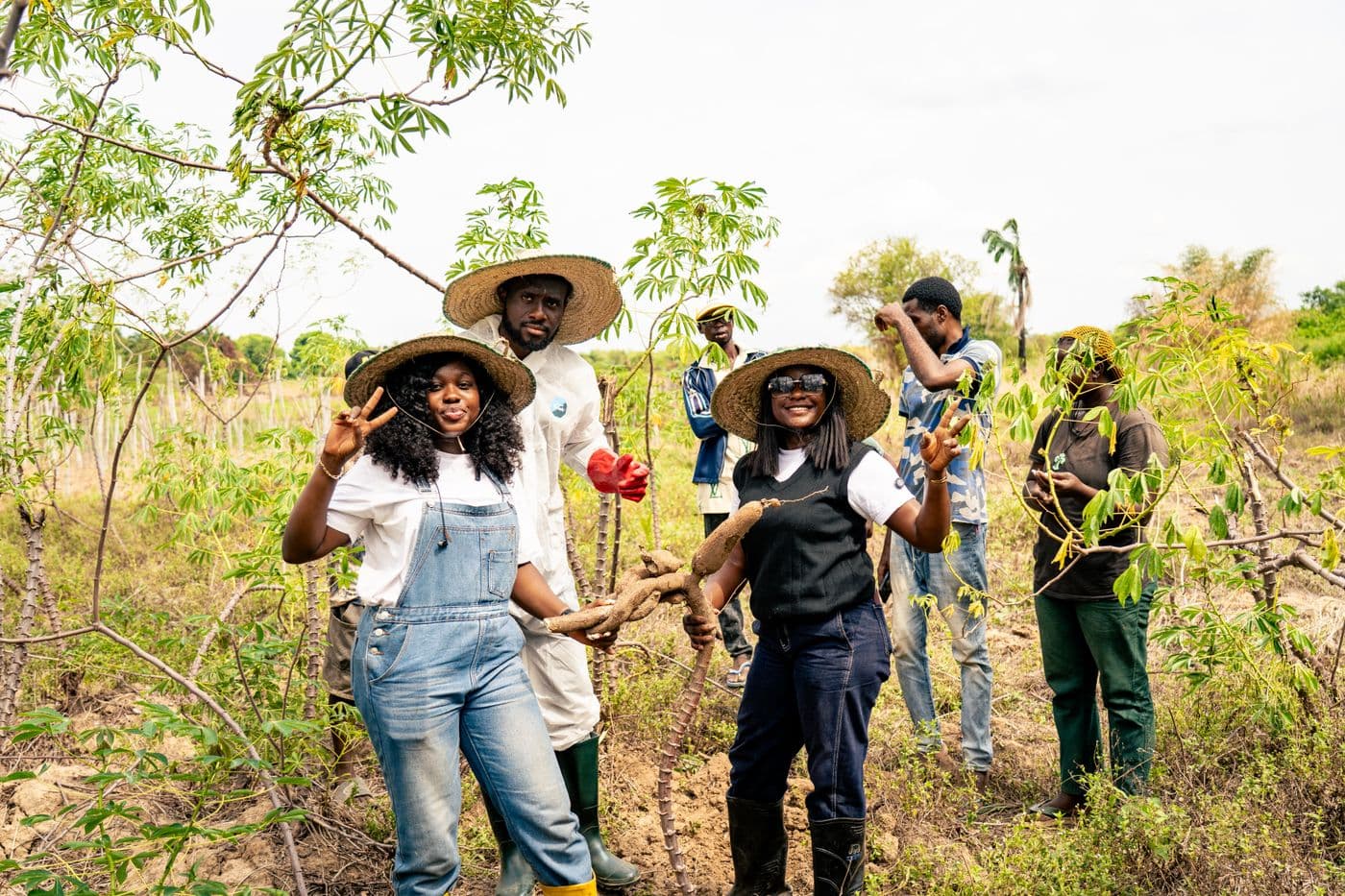 Cassava Processing Hub in Ondo State